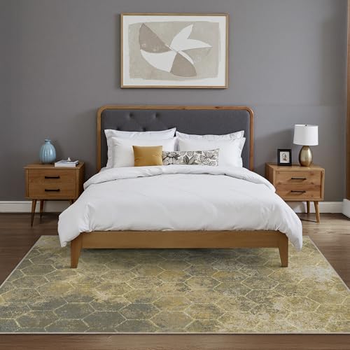 Area Rugs 8x10 for Living Room Bedroom, Modern Abstract Honeycomb Geometric Design, Machine Washable Rug, Large Soft Low Pile Floor Cover with Non Slip Backing for Dining Room, Brown/Tan
