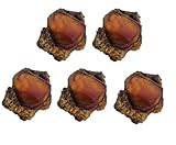 PUREPET Chews for Dogs All Natural Beef Smoked Knee Caps with Meaty Bits Bulk Packs (5 Knee Caps)