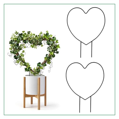 Image of CINAGRO Heart-Shaped Iron Garden Trellis for Climbing Plants, Pack of 2 | Rust-Free, Decorative Vine Support Rack for Balcony Garden & Outdoor Plants