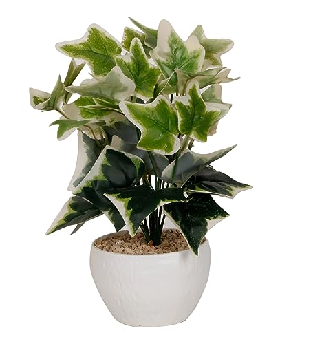 Image of Foliyaj Artificial Ivy Plant with White Pot | Indoor Plants for Home Decor | Living Room Decor | 28 cm Height | Decoration for Home and Office