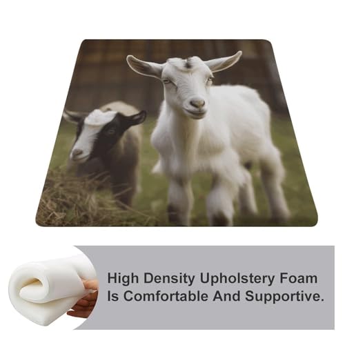 Housse amovible en polyester lavable pour coussin de siège chèvre - 4