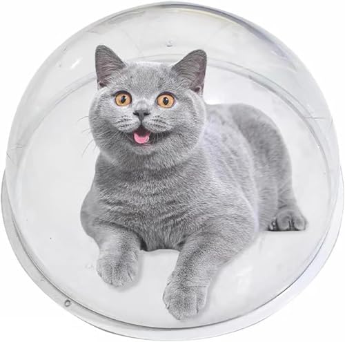 FD L nbNL Lbg^[ AN NA{E Vя L^[ 360° Lxbh ʋC ȒP LpƋ  FD̂ ^[i Lbg^[ ȃXy[X ܂Ƃ|[ p (Ȃ,40cm)