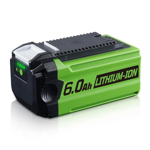 LUMSING 29462 6.0 40V Lithium-Ion Battery Replacement for Greenworks 40V Battery Compatible with Greenworks Battery 40Volt 29462 Cordless Power Tools