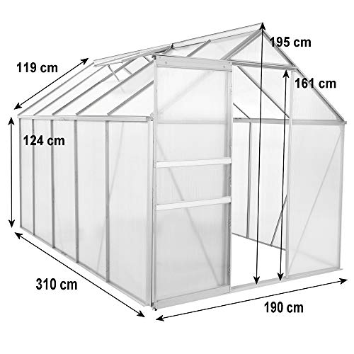Zelsius Aluminium Gewächshaus mit Fundament 310 x 190 cm | 6 mm Hohlkammerplatten, UV-beständig, Winterfest | Treibhaus, Pflanzenhaus, Tomatenhaus, Frühbeet, Anbau Gewächshaus, Tomatengewächshaus – Bild 4