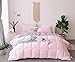 KASENTEX Queen Comforter Set – Reversible Dual Color – Goose Down Alternative – Ultra-Soft, Lightweight, Machine Washable, Maintain Fluffiness, All Season Warmth (Pink Potpourri/Quartz Silver)