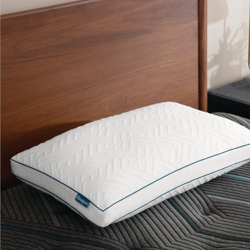 Beautyrest Deluxe Down Alternative Pillow...