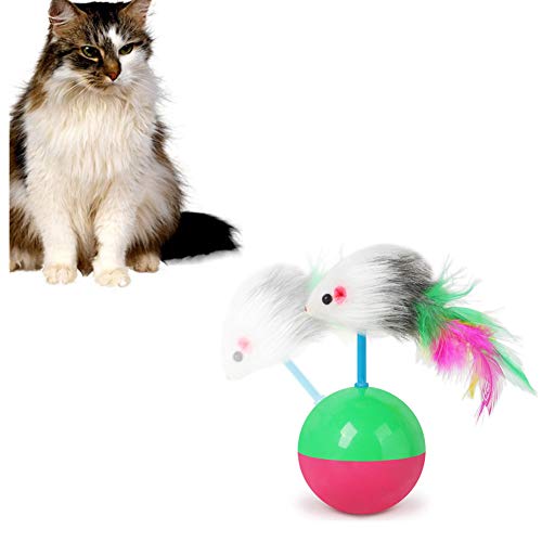 OVsler Giochi Gatto Giochi per Gatti Giochi Gatti