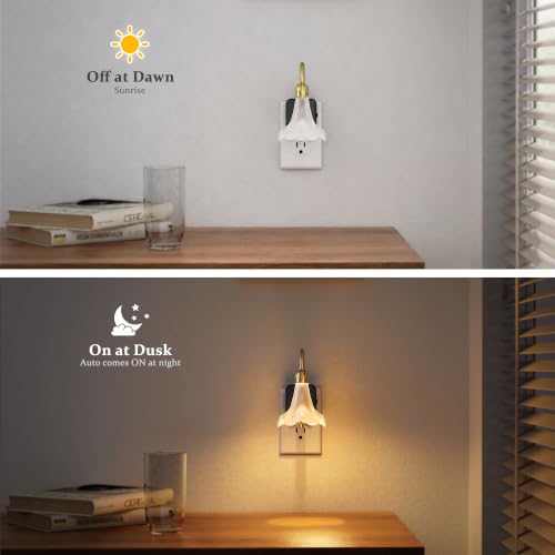 Image of JandCase Night Light, Night Lights Plug into Wall, Glass Flower Nightlight