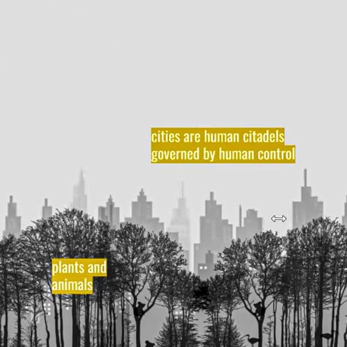 Multispecies Justice: Hira Sheikh and Marcus Foth