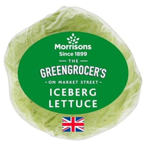 Iceberg Lettuce
