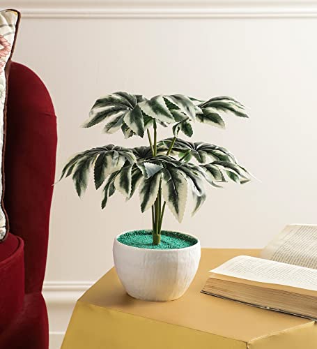Image of FOLIYAJ Real Look Artificial Spidersweb Plant with Pot Bonsai Tree Home Decor for Living Room Office Shop House Gift Decoration 18 cm x 18 cm x 30 cm