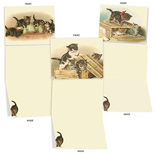 The Best Card Company - 10 Adorable Blank Cat Cards (4 X 5.12 Inch) - Cute Pet Kittens, Assorted Bulk Notecard Set - Cutey Cats M1732Bn #TOP3