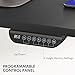 FLEXISPOT E6 Max Dual Motor 3 Stages Standing Desk Height Adjustable Electric Stand Up Desk Frame Only (Black)