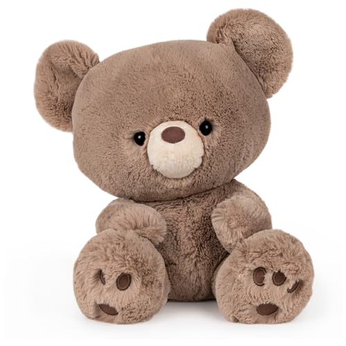 Kai Teddy Bear: Your Child's Cuddly Companion