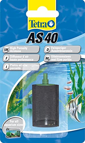 Sprudelstein für Teich Die 15 besten Produkte im Vergleich Aquaristik