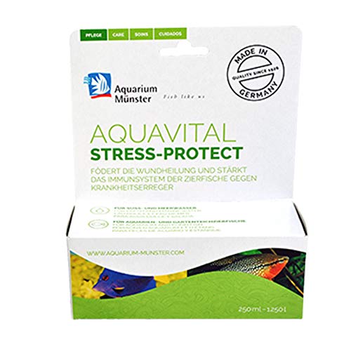 Aquarium Münster aquavital stress-protect 250 ml für 1.250 l