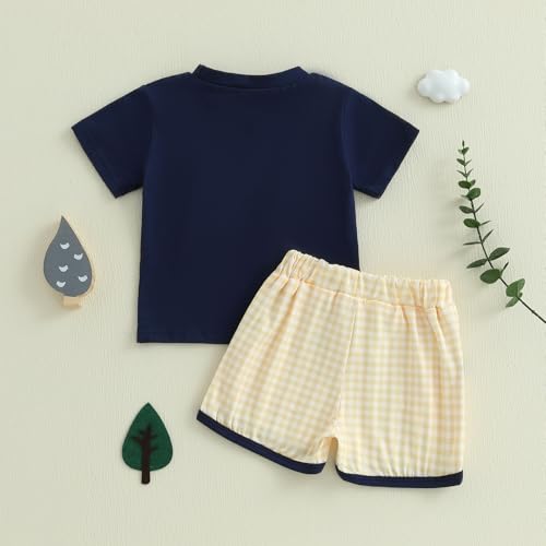 Toddler Baby Boy Summer Outfit Farm Clothes Short Sleeve T-Shirt Plaid Shorts Mallard Duck Goose Outfits 6