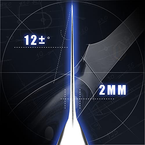 [6-Inch]Boning Knife,Fanteck Fillet Knife Damascus Japanese Pro High Carbon Steel Sharp Curved Flexible Blade Kitchen Cleaver For Fish Poultry Chicken Meat Cutting[Gift Box & Sheath]-G10 Blue Handle #TOP6