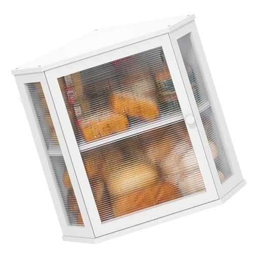 Contenedor compacto de pan con acabado premium de dos compartimentos y diseño transparente 2