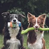 TRIXIE Hundeleckerli PREMIO Hunde-Leberwurst XXL 300g - Premium Leckerlis für Hunde glutenfrei - ohne Getreide & Zucker, schmackhafte Belohnung für Training & Zuhause - 31761
