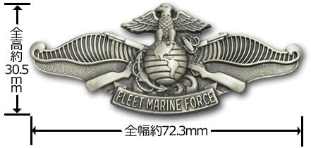 Navy Badge: Fleet Marine Force - regulation size