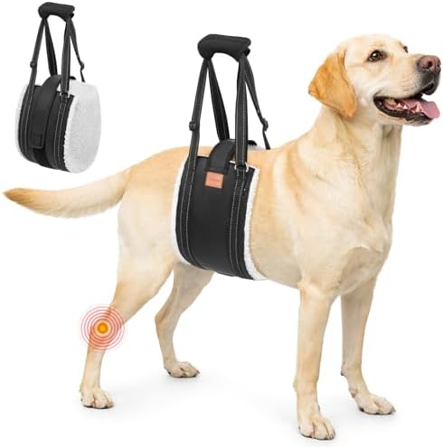 LOOBANI Hunde Tragehilfe mit Klettverschluss, verstellbare Gehhilfe für Hunde, weicher Hundetragegurt für behinderte, verletzte oder ältere Hunde und zur postoperativen Rehabilitat