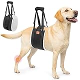 LOOBANI Hunde Tragehilfe mit Klettverschluss, verstellbare Gehhilfe für Hunde, weicher Hundetragegurt für behinderte, verletzte oder ältere Hunde und zur postoperativen Rehabilitation
