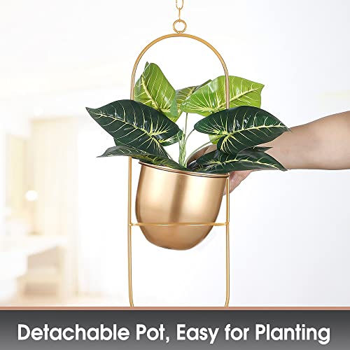 2 Pack Shineloha Hanging Planters For Indoor & Outdoor Plant With 6" Pot (Detachable) + Hook | Hanging Plant Holder, Plant Hanger, Minimalist Planter | Modern Home Decor, No Plant Incld (Gold) #TOP5