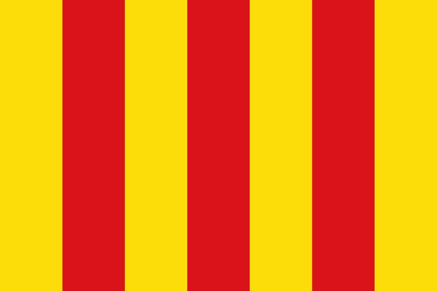 Drapeau XL Langon Gironde pavillon officiel de la municipalité grand format