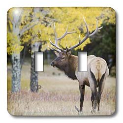 Double interrupteur à bascule robuste avec motif Wapiti Rocky Mountain