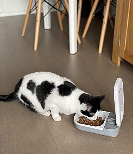 Cat Mate C100 Single Meal Automatic Pet Feeder for Cats and Small Dogs (no ice pack),White