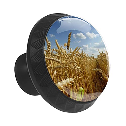 Boutons de tiroir ronds de 35 mm avec motif épi de blé pour commode - 3