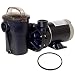 Hayward SP1580 Power-Flo LX Series 1-Horsepower Pool Pump with Cord and Replacement Lid O-Ring - 2 Item Bundle