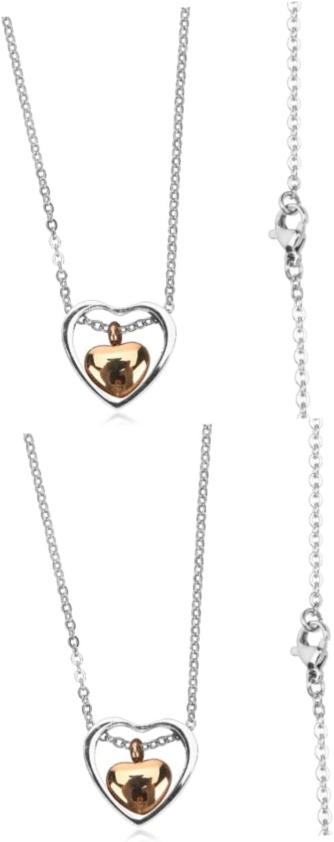 IMIKEYA 2pcs Pet Urn Necklace for Ashes Heart Pendant Jewelry for Women Cremation Keepsake Memorial Necklace for Pet Loss Remembrance