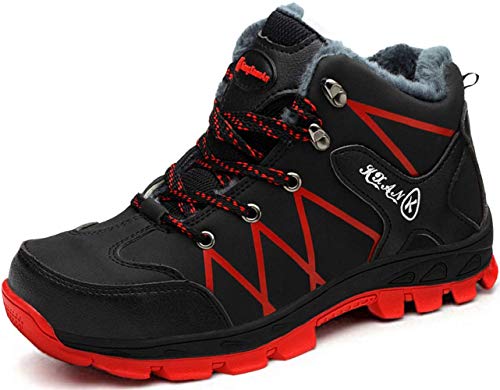 [u[|] SC nCJbg 񂺂C ƌC Y h  ʋC ~ ϖ Nу^Cv