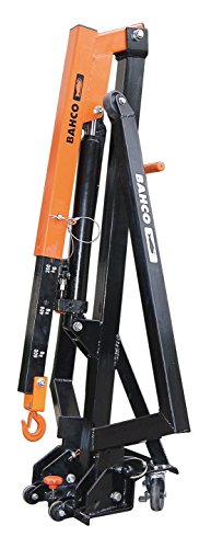 NUEVO 2024-600 Kg Pallet Crane