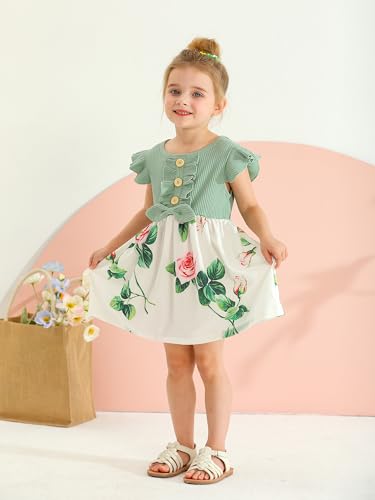 Toddler Infant Baby Girl Dress Floral Ruffle Sleeve Dresses Girls Sundress3