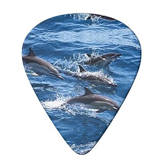 Dolphins In The Sea Lot de 6 médiators pour guitare acoustique, guitare électrique, basse, ukulélé – fins, moyens et… - Les Beatles, Paul McCartney, John Lennon, RIngo Starr, George Harrison Dolphins In The Sea Lot de 6 médiators pour guitare acoustique, guitare électrique, basse, ukulélé – fins, moyens et… – Image 3