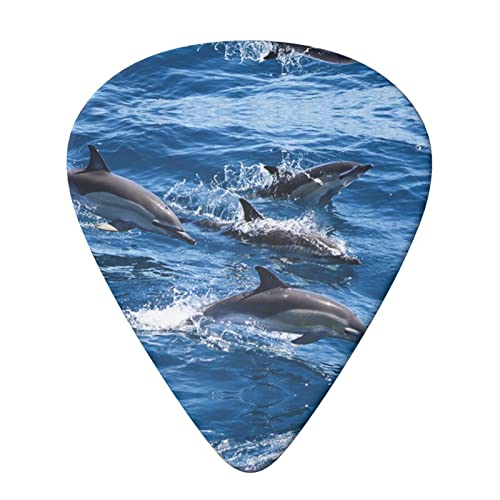 Dolphins In The Sea Lot de 6 médiators pour guitare acoustique, guitare électrique, basse, ukulélé – fins, moyens et… - Les Beatles, Paul McCartney, John Lennon, RIngo Starr, George Harrison Dolphins In The Sea Lot de 6 médiators pour guitare acoustique, guitare électrique, basse, ukulélé – fins, moyens et… – Image 4