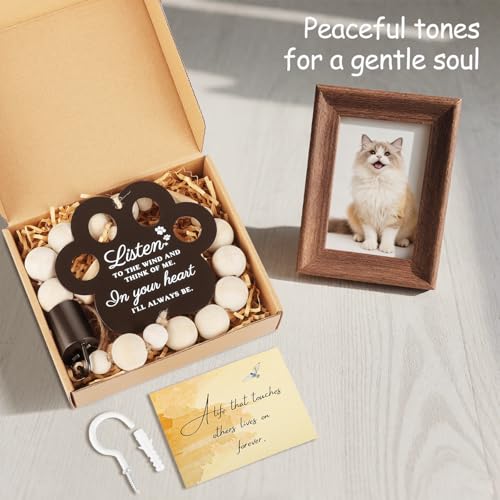 https://m.media-amazon.com/images/I/41BlC7M6CBL.jpg