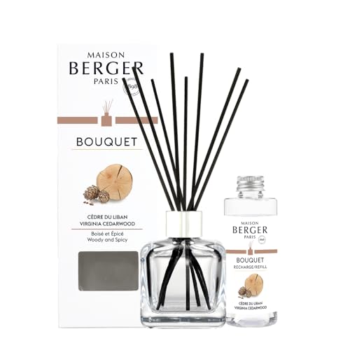 MAISON BERGER - Bouquet Parfumé - Modele Glaçon Transparent - 6 Brins Noirs - 21 cm - Recharge de...