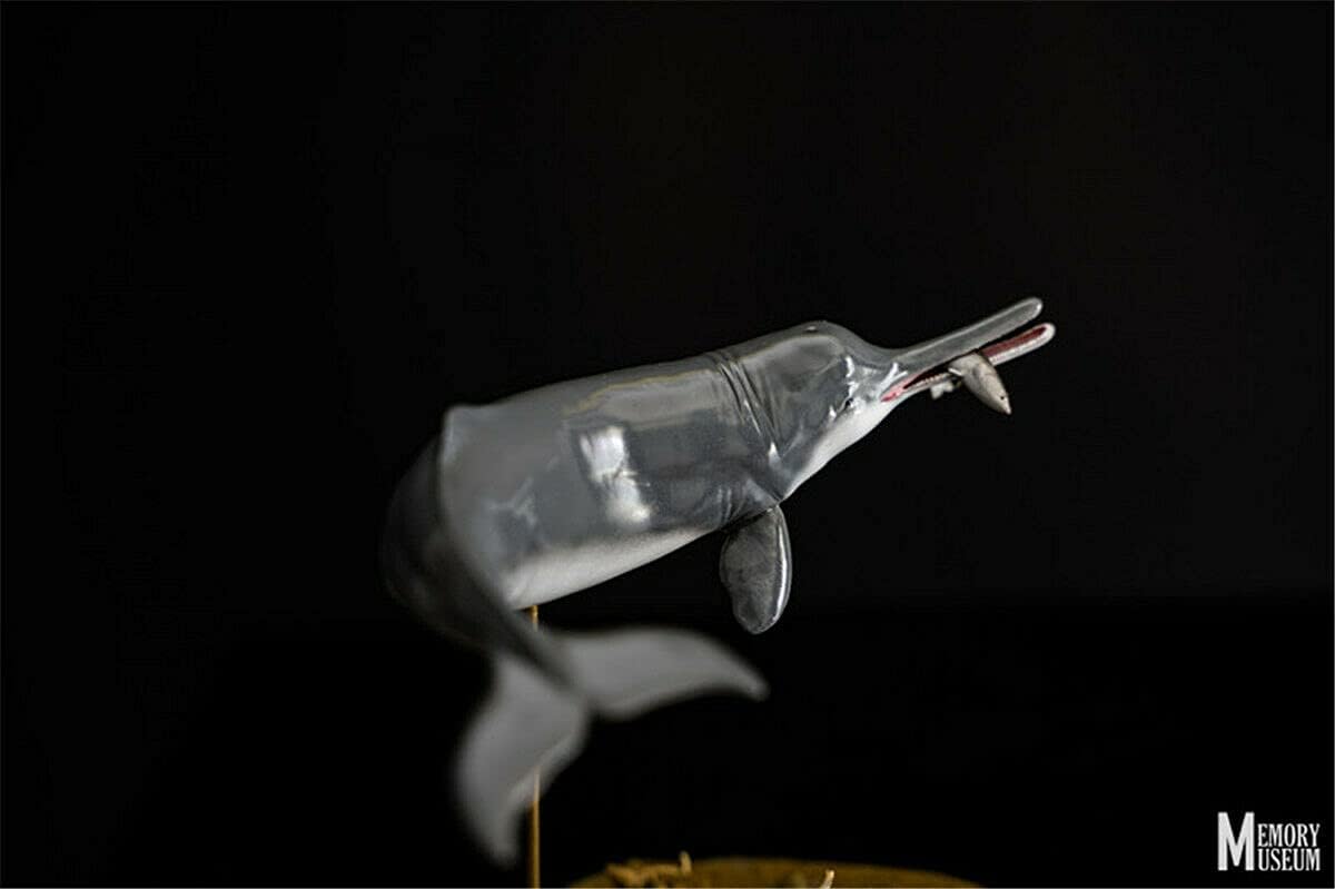 Memory Museum 1/15 Scale Chinese River Dolphin Statue Lipotes Vexillifer Collector Baiji Animal Resin Collector GK Toy Gift
