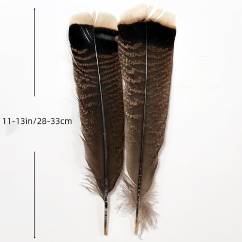Turkey Feathers,Natural Big Long Feather,11-13 inches (28-33cm),Large Size Bilateral Feathers,for Crafts,Bulk 12pcs (Natural Turkey-1) by XKTEI - Used condition - Image 2