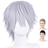 CaseEden コスプレ ウィッグ プレミアム カッコいいショートヘア ショート シルバー 銀色 銀髪 6078