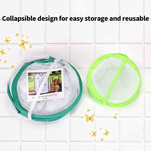 Insect and Butterfly Habitat Cage, Terrarium with Pop-up Design, for Nature Observation, Butterflies and Insects Raising, etc. 23.6 Inches Tall, with A Mini Habitat Cage (Pack of 2) - 3