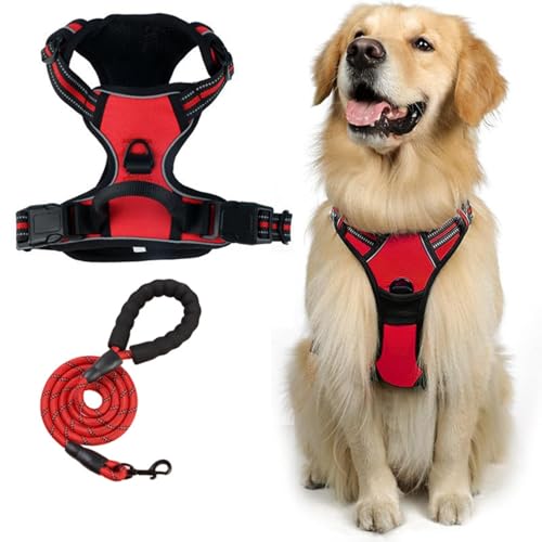  n[lX p ߉\ Ԕ ^/^/^ ʋC bV s⏕ U p y S  h~ hbO (bh,L)