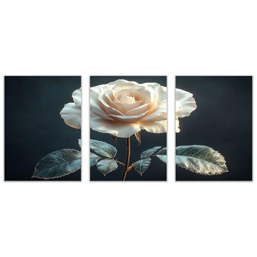 AMXBZC 3 Piezas cuadros bohemios modernos Flores naturales abstractas Nórdico Minimalistas Plantas cuadro, Comedor Oficina Pasillo Cocina Y Baño póster（Blanco-20x30cmx3 Sin marco