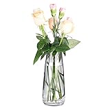KatoonX Flower Vases Crystal Glass for Home Decor Wedding or Gift (Clear)
