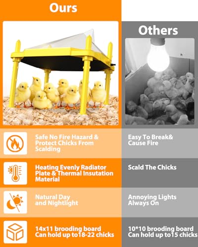Plaque de couveuse pour poussins réglable pour éviter les pertes d'élevage