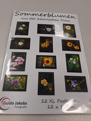 14909 Lot de 12 cartes postales XL avec fleurs Cover